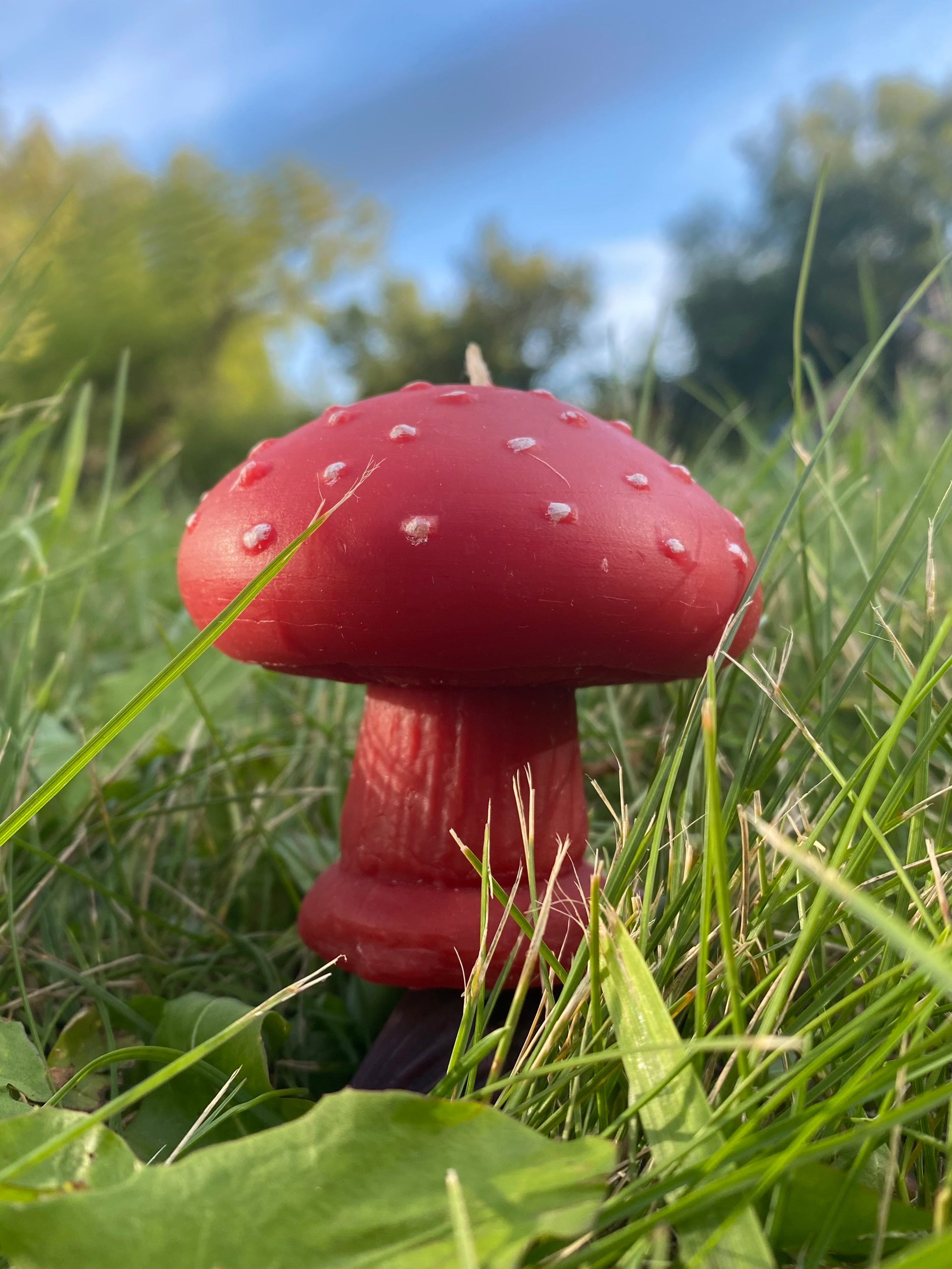 Large Mushroom Candle