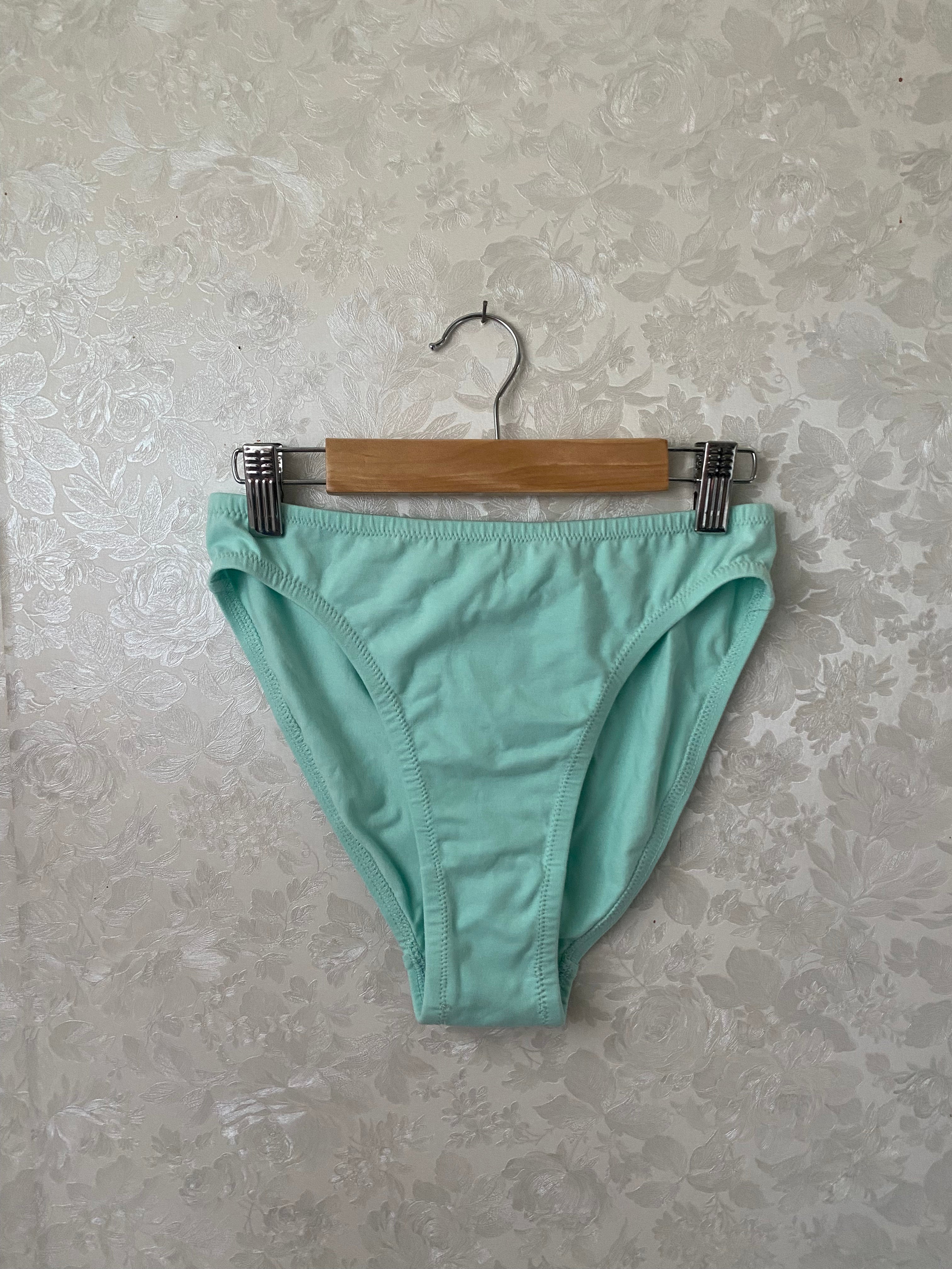 Small Georgia Brief - Mint