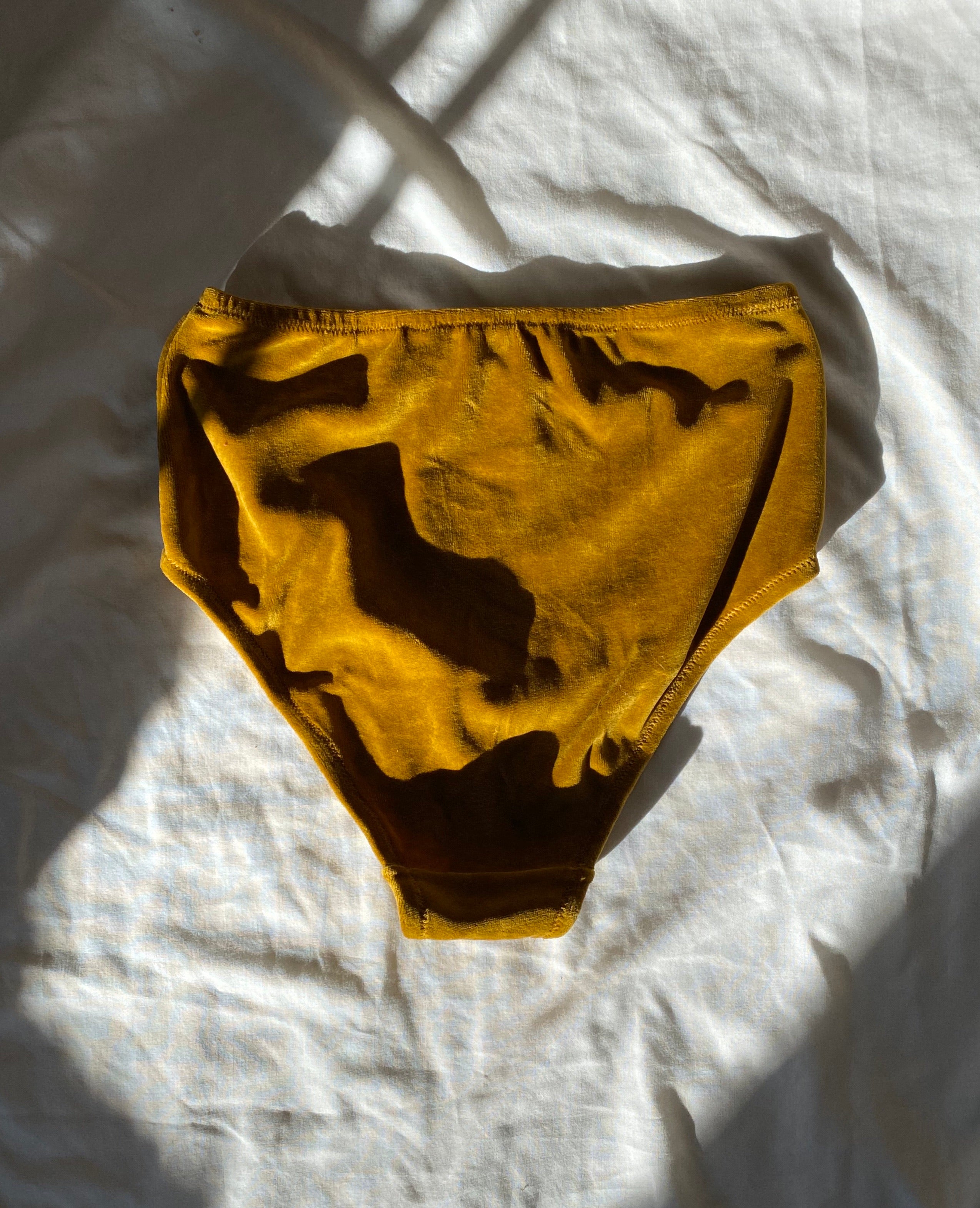 Prairie Velvet April Briefs