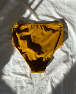 Prairie Velvet April Briefs