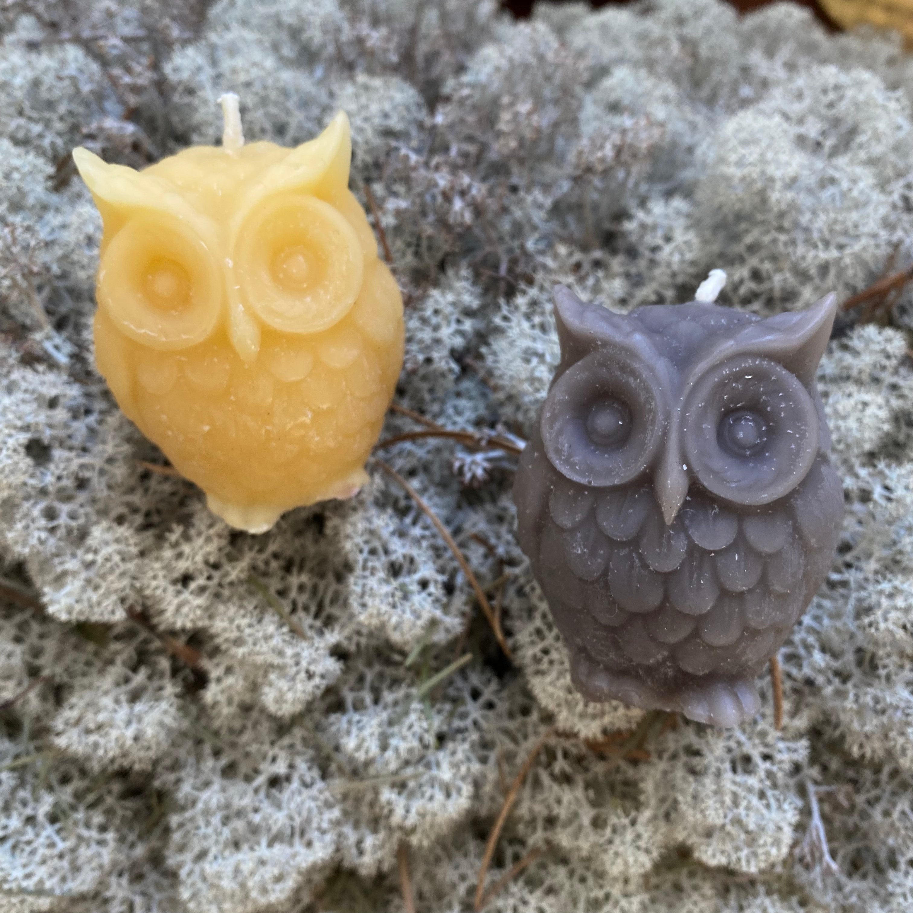 Owl Candle